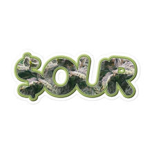 Load image into Gallery viewer, (1AD) $OUR Stickers
