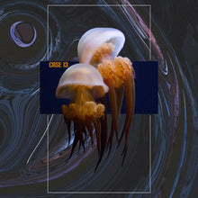 Load image into Gallery viewer, [1AD] J. FISH
