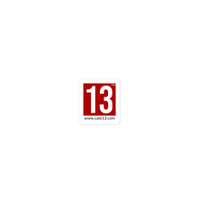 Load image into Gallery viewer, PEGI 13 Sticker
