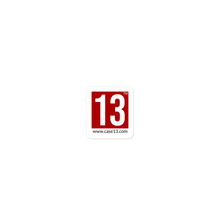Load image into Gallery viewer, PEGI 13 Sticker
