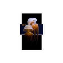 Load image into Gallery viewer, (1AD) J. FISH Sticker
