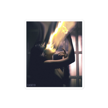 Load image into Gallery viewer, (1AD) MELT Stickers
