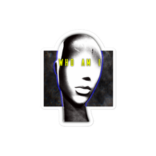 Load image into Gallery viewer, (1AD) IDENTITY Stickers
